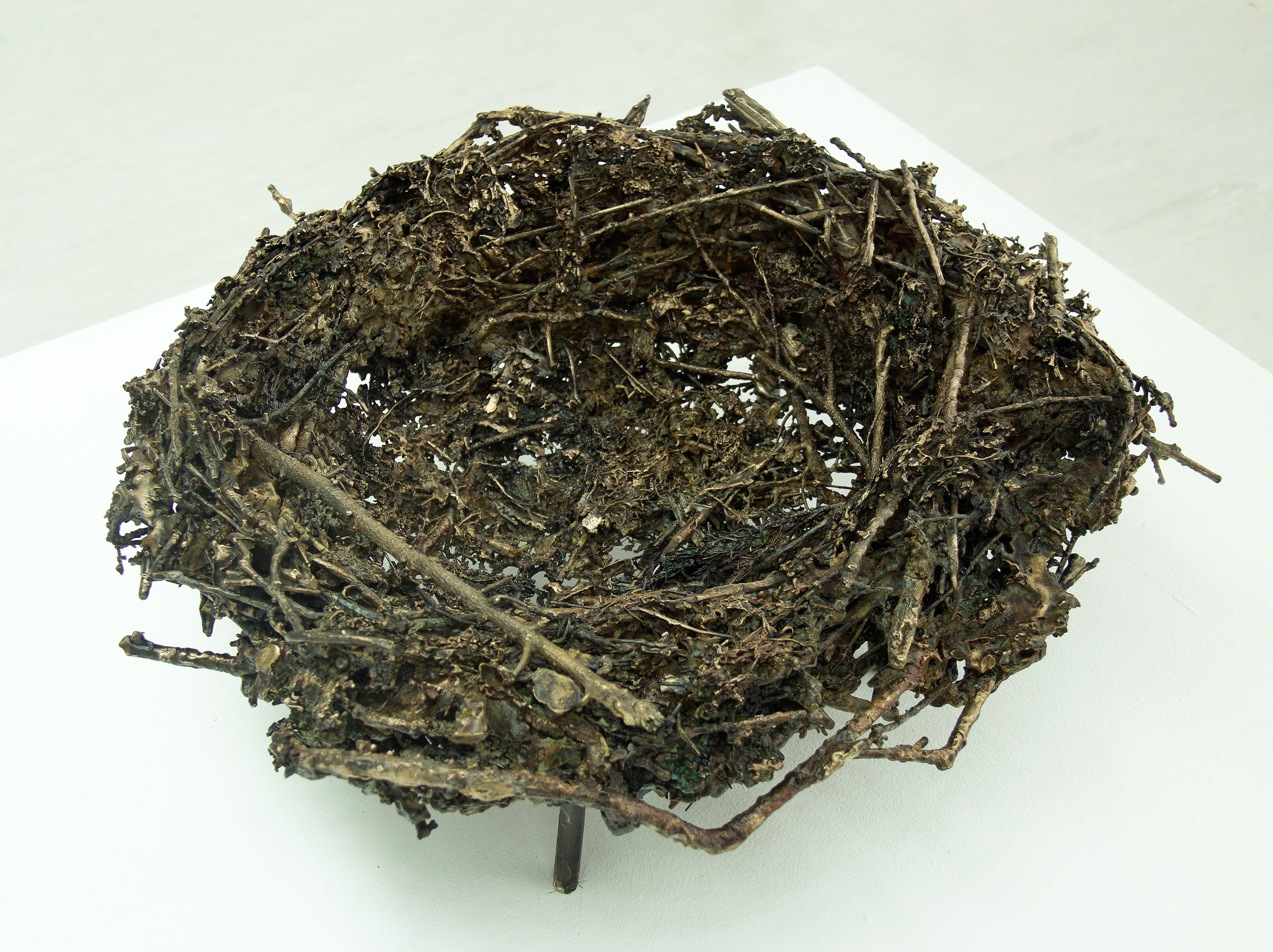 Bronze bird nest